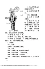 “赤脚医生”教材 (供南方地区培训参考使用) 内页预览 2