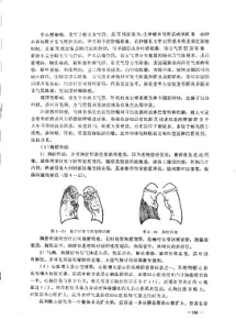 中国赤脚医生教材 (试用本) (上册) 内页预览 2