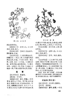 “赤脚医生”手册 内页预览 1