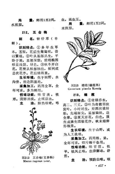 赤脚医生手册 广东版 内页预览 3