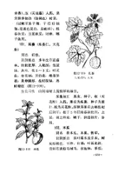 供北方地区参考用 赤脚医生教材 (上册) 内页预览 4