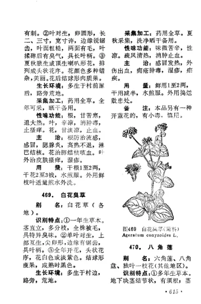 赤脚医生手册-广东版 内页预览 4