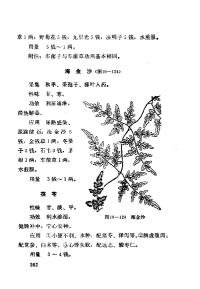 赤脚医生手册-试用版 内页预览 1
