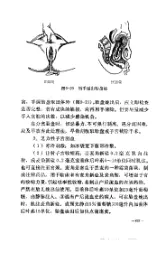 供北方地区参考用  赤脚医生教材  （上册） 内页预览 3