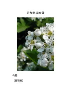 600種中草藥野外識別高清圖譜 内页预览 3