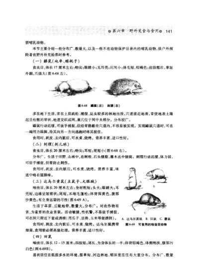 户外探险与野外生存 (王苏光) 内页预览 3