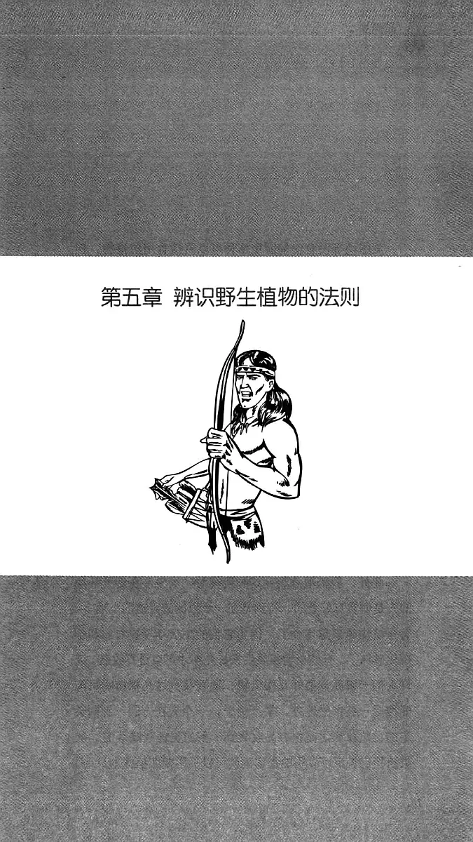 荒野求生 印第安人野外生存手册 (拉里迪安) 内页预览 2