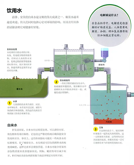 人类食物百科（HOW FOOD WORKS） (DK) 内页预览 3
