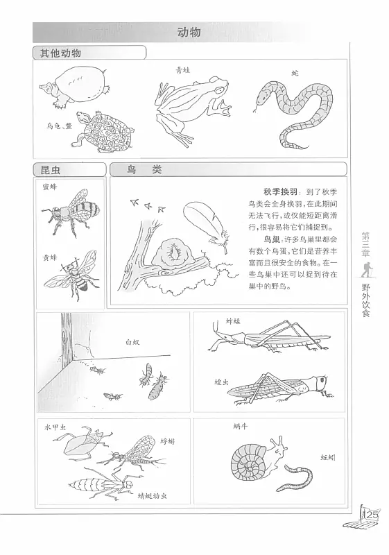 图解野外生存手册 (李卫) 内页预览 2