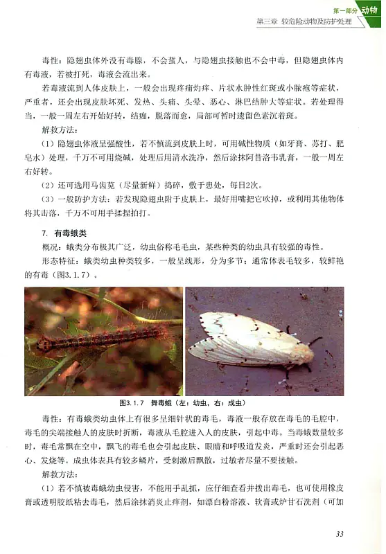 西南地区动植物辨析及野外生存指南 (曹成全, 马中平) 内页预览 1