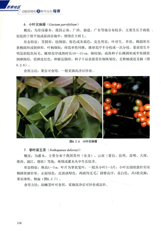 西南地区动植物辨析及野外生存指南 (曹成全, 马中平) 内页预览 3