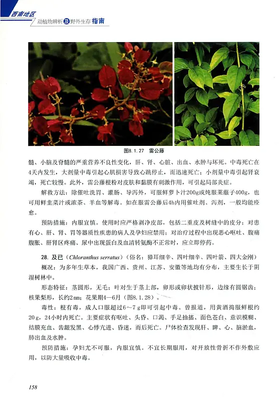 西南地区动植物辨析及野外生存指南 (曹成全, 马中平) 内页预览 4
